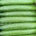 密刺黄瓜25公分以上干花带刺