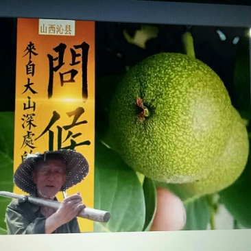 青皮核桃青皮湿