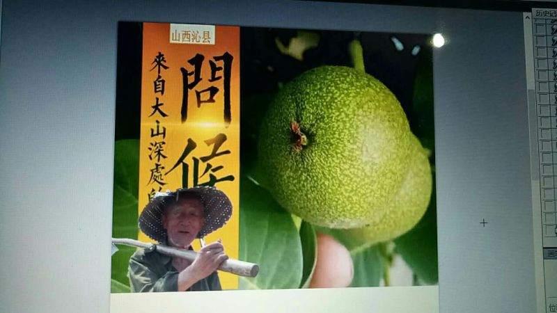 青皮核桃青皮湿