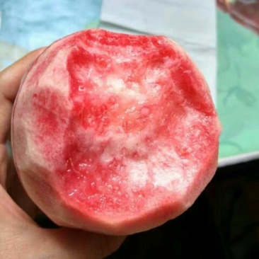 阿布白桃80mm以上