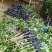 无核荔枝苗30~50cm