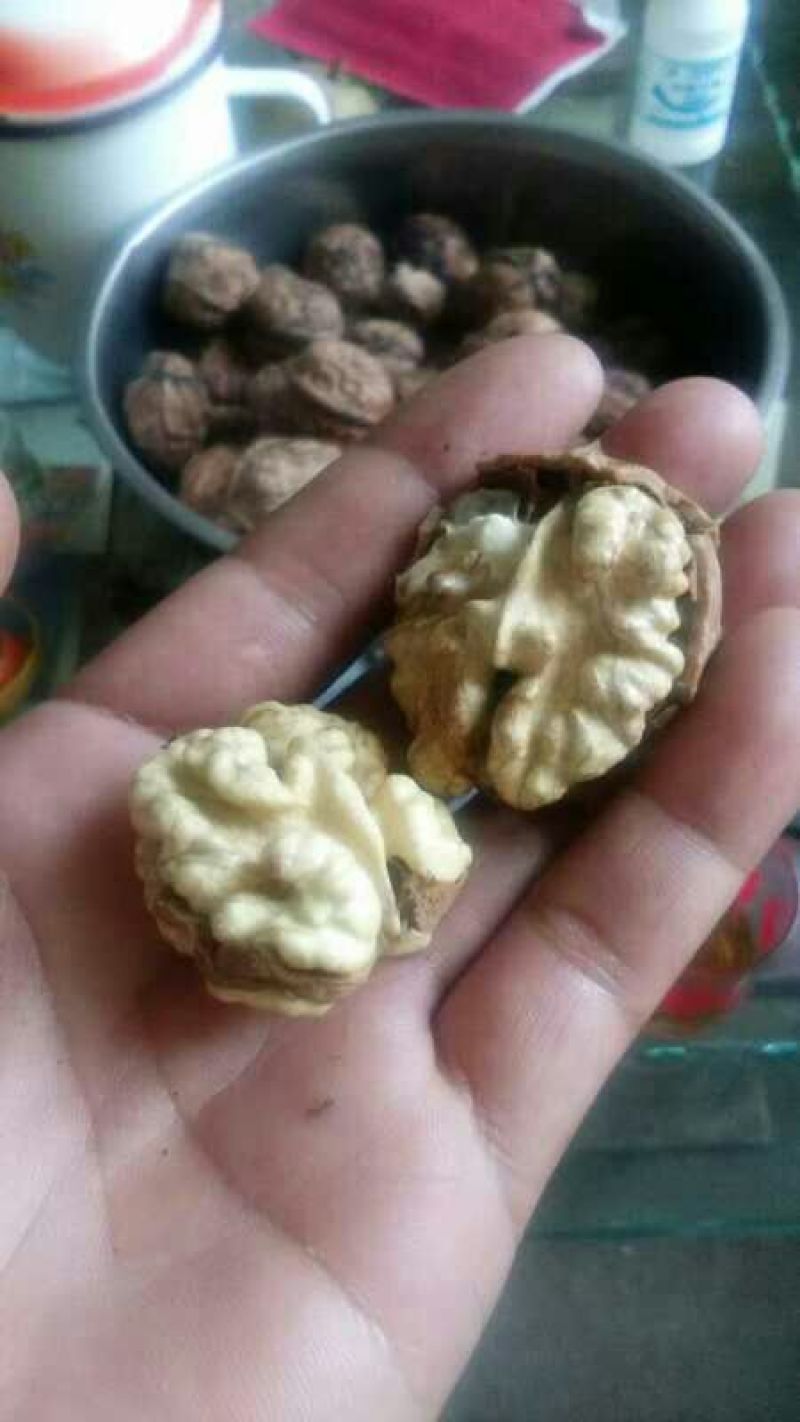 薄皮核桃去皮湿