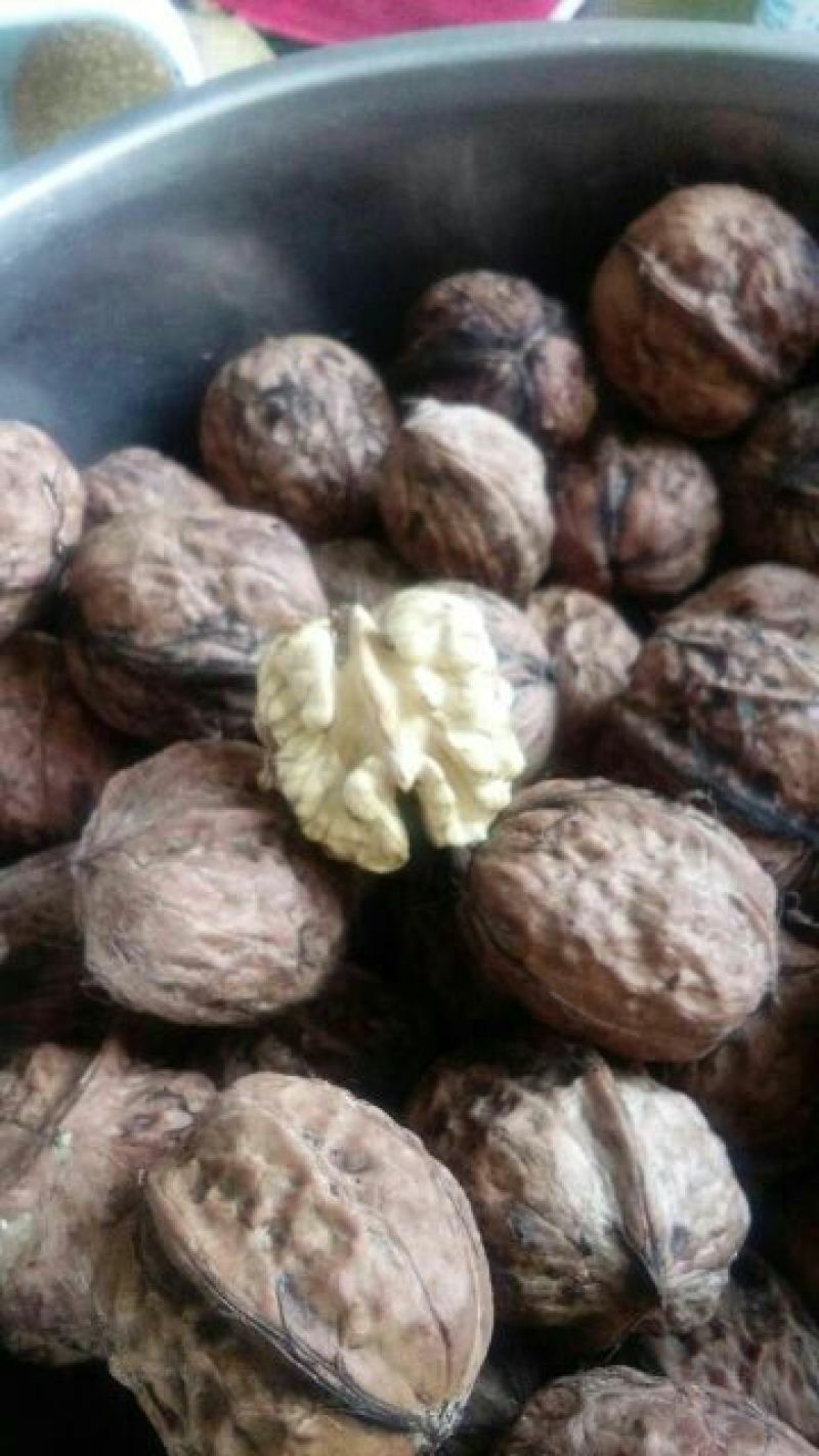 薄皮核桃去皮湿