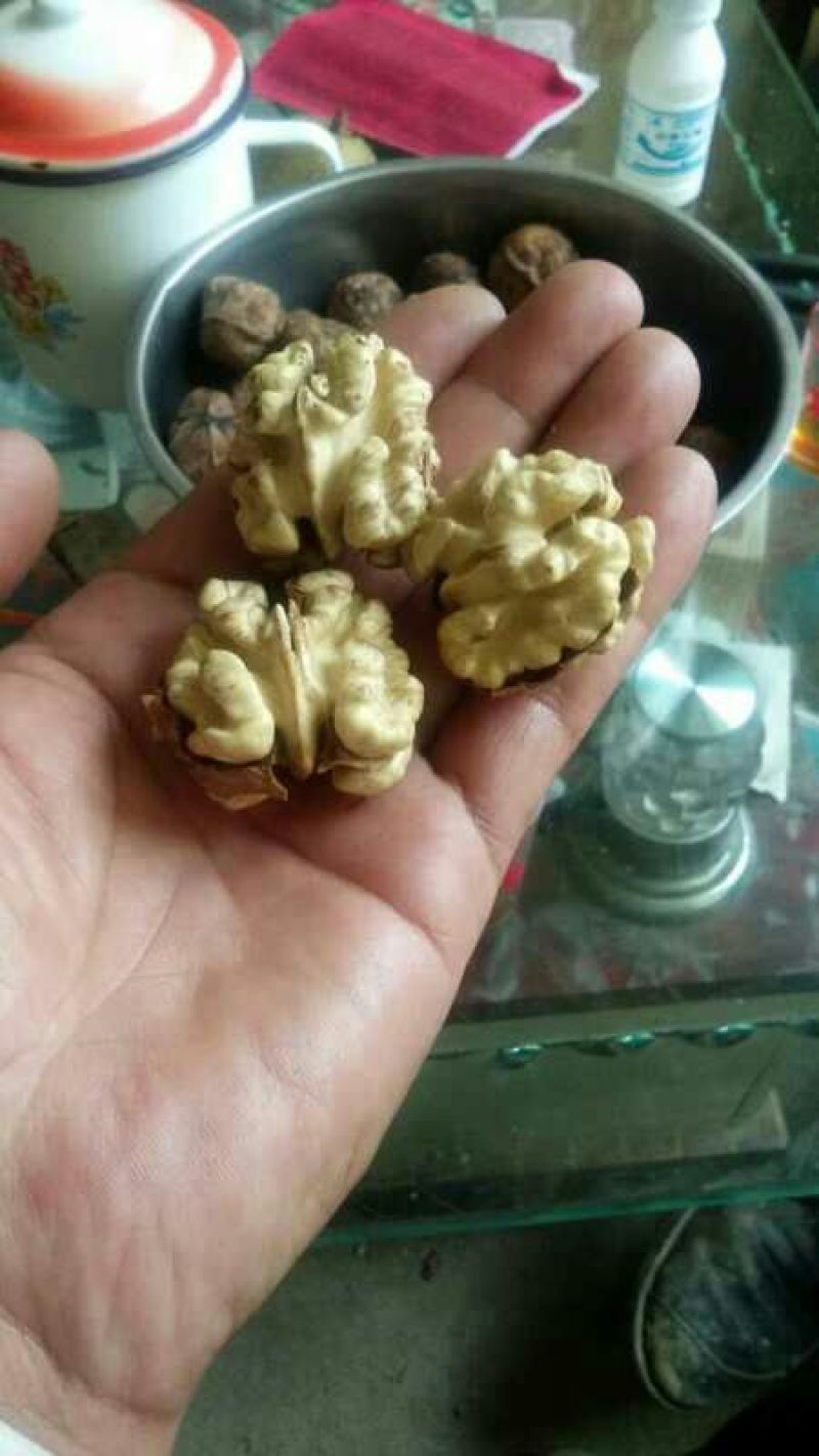薄皮核桃去皮湿