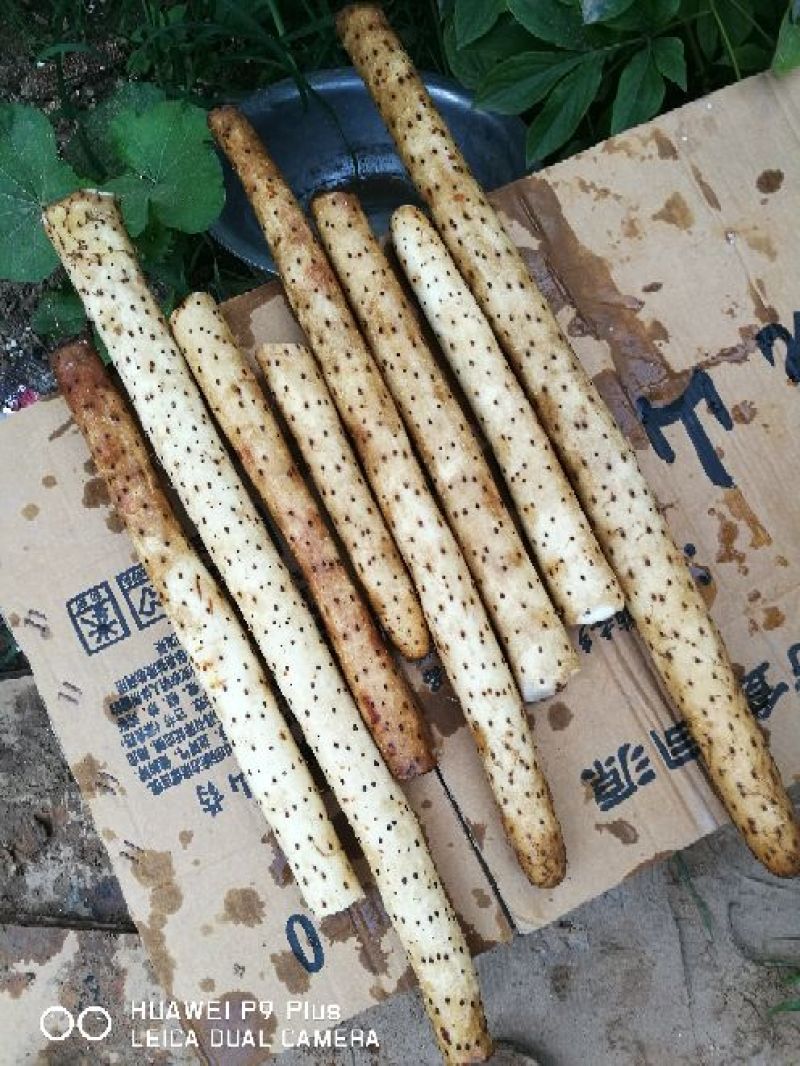白玉山药3~4厘米一级通货，日本白山药