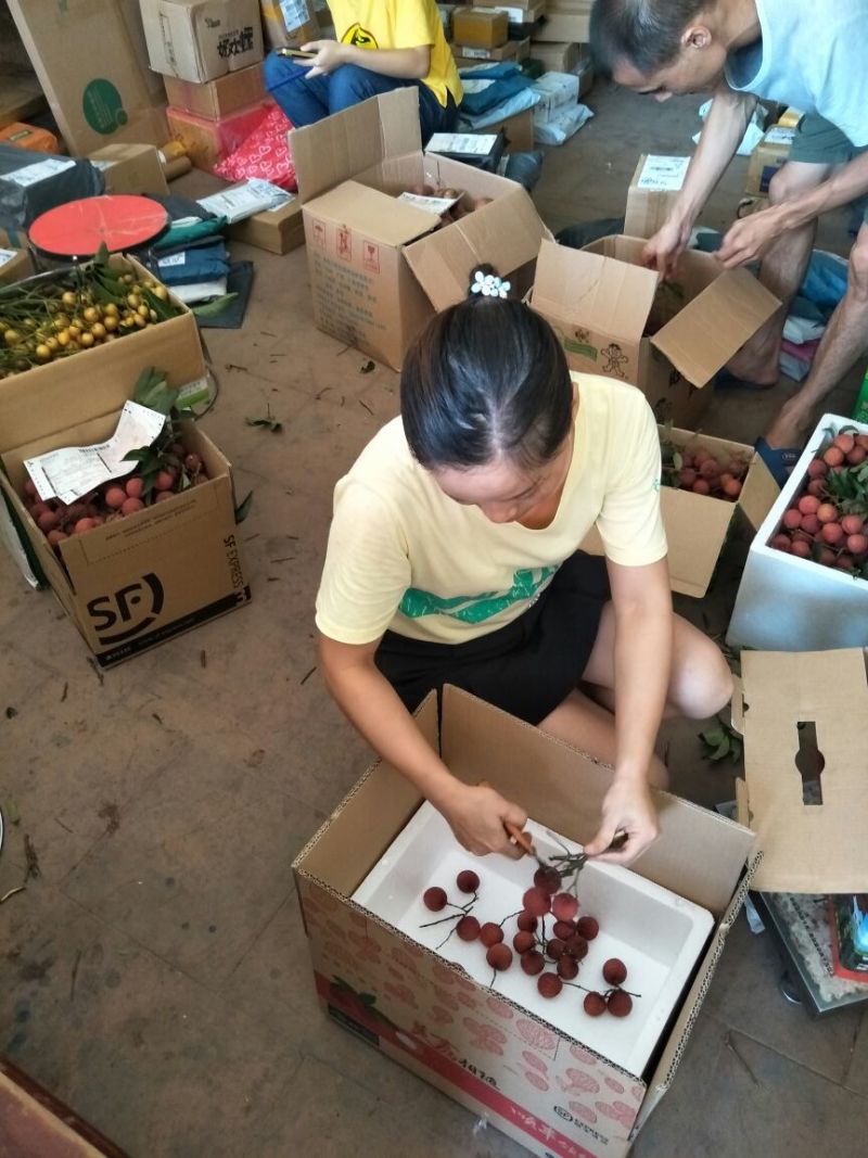 精品迟熟荔枝一件代发全国冰鲜发货当日现摘基地直供