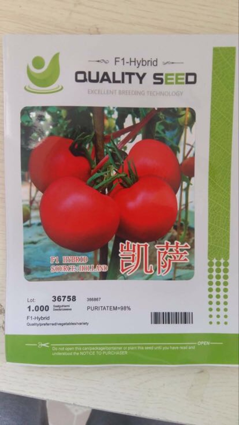 西红柿种子97%