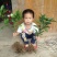 脐橙树苗30~50cm