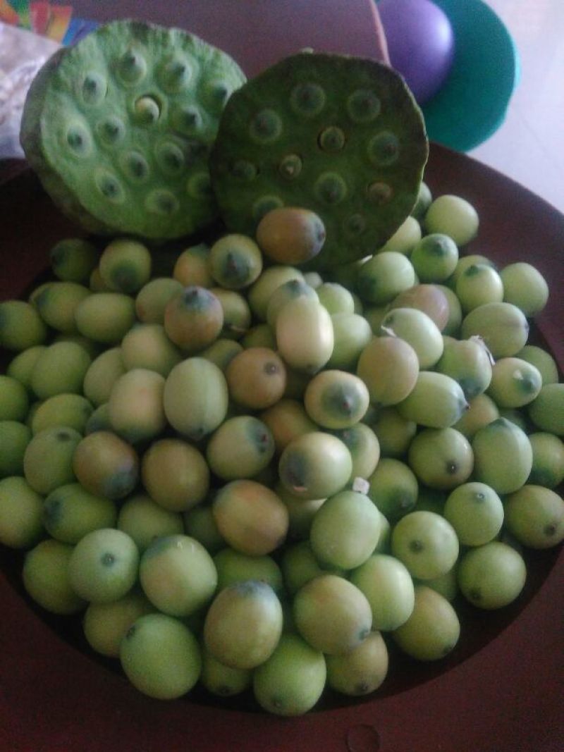 新鲜草莲子