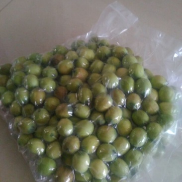 新鲜草莲子