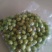 新鲜草莲子
