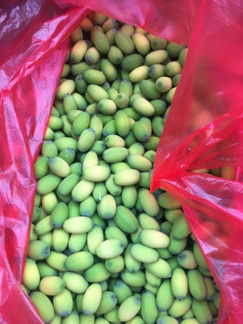 莲子特级鲜莲子微山湖