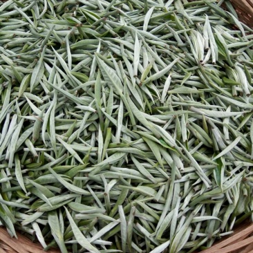 普洱茶特级
