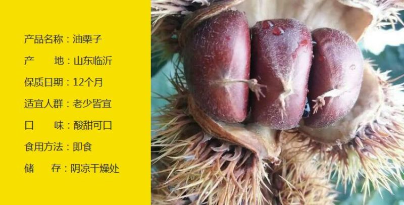 2024年新鲜山东油栗精选果批发可一件代发可代办代储