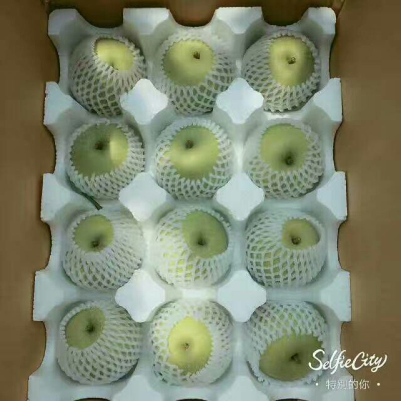 皇冠梨300~350g光果