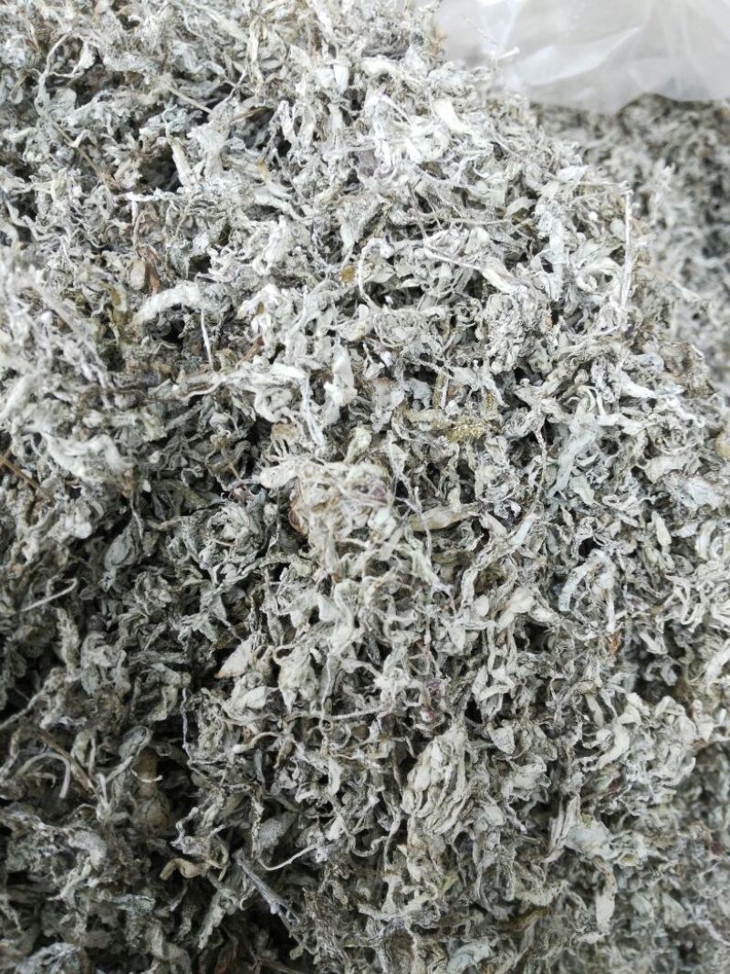 【有好货】福藤藤茶特级嫩芽保健养生茶125g一罐