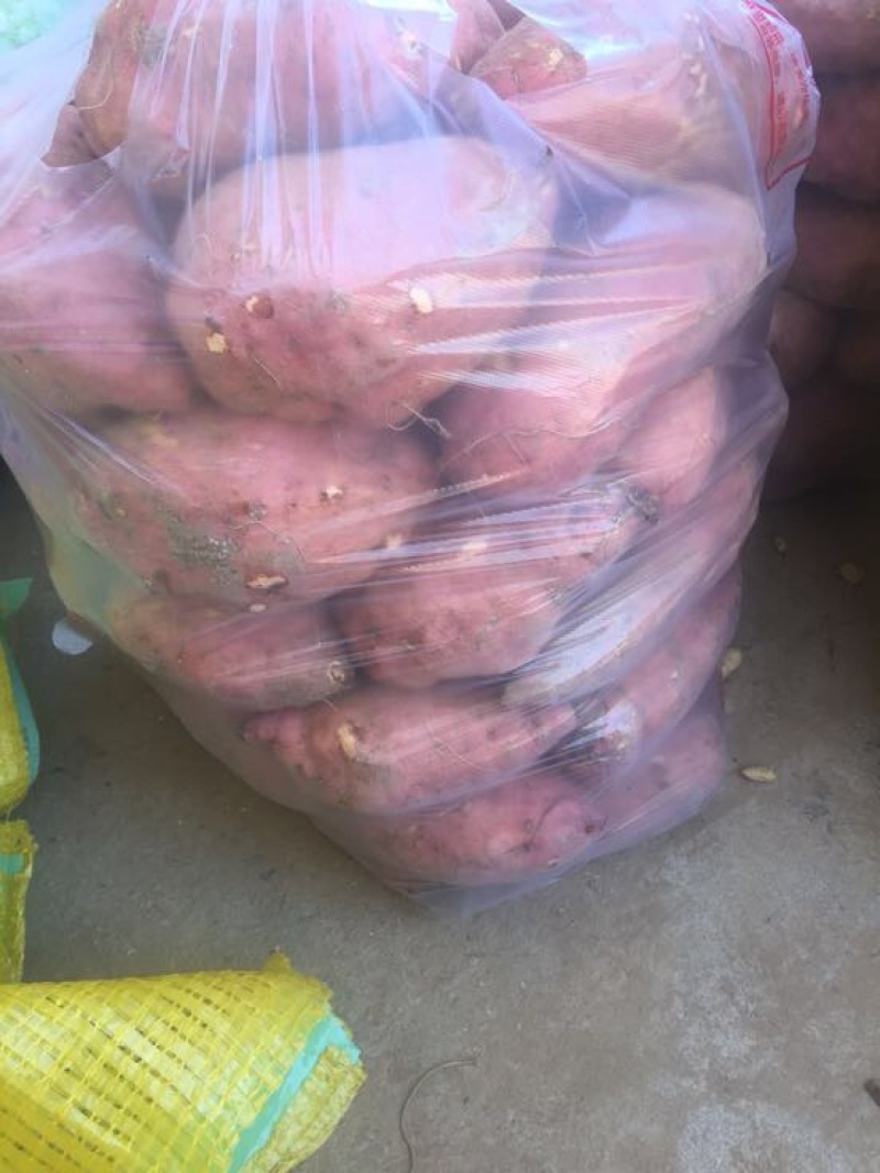 西瓜红蜜薯红薯，一手货源，产地直供，天然食品，口感面甜