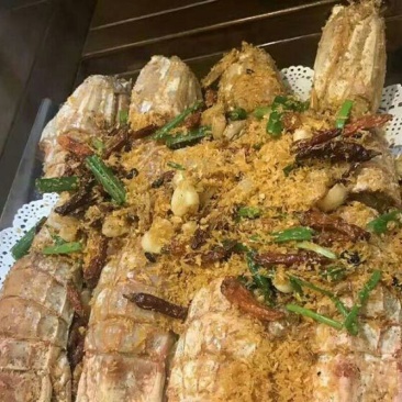 皮皮虾活虾