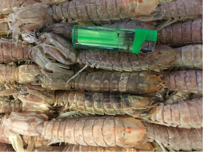 皮皮虾活虾