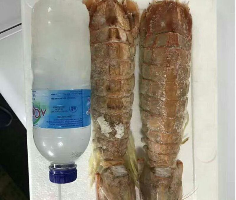 皮皮虾活虾