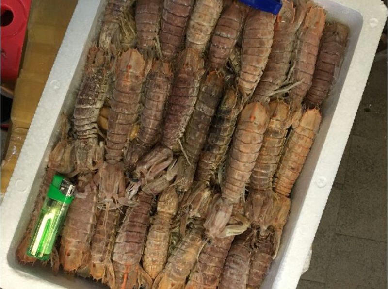 皮皮虾活虾