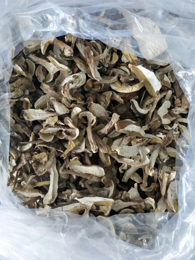 松蘑一级