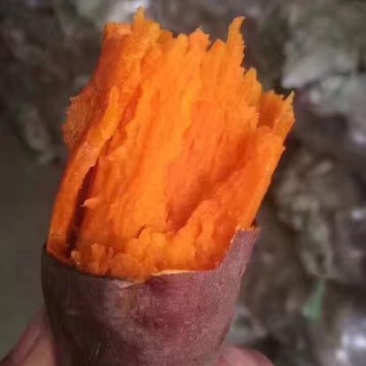 红薯3两以上大红薯红心