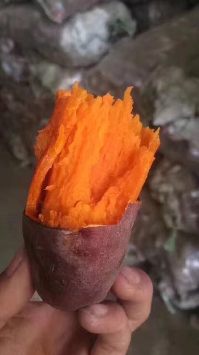 红薯3两以上大红薯红心