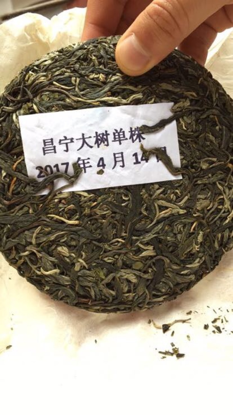 古树普洱茶特级