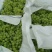 维多利亚葡萄5%以下2斤以上