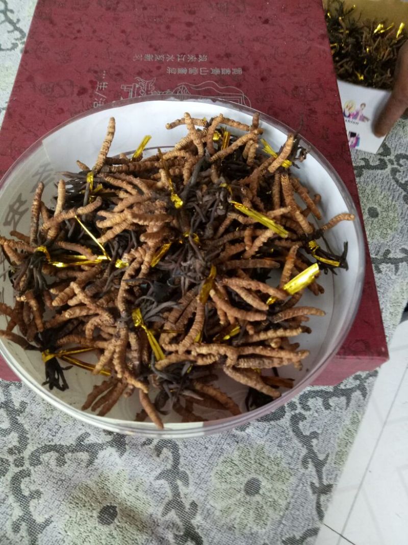 冬虫夏草袋装