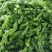 芜湖椒0.5~2厘米微辣青