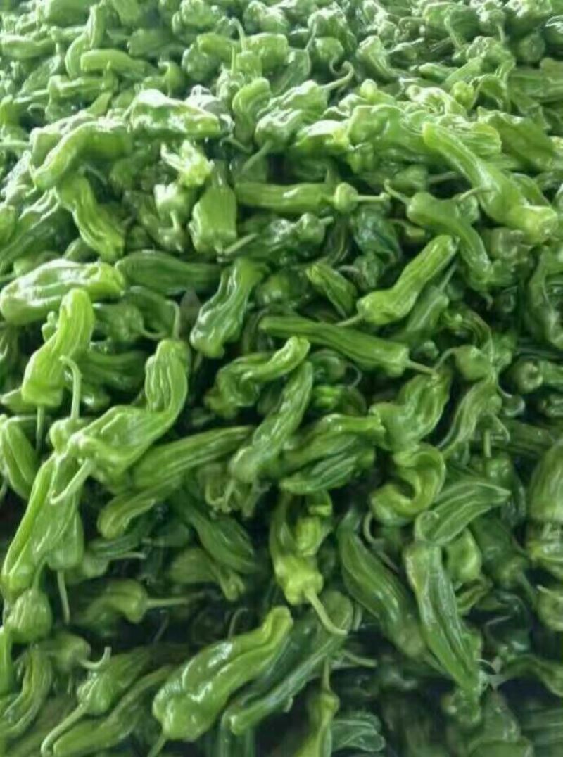 芜湖椒0.5~2厘米微辣青