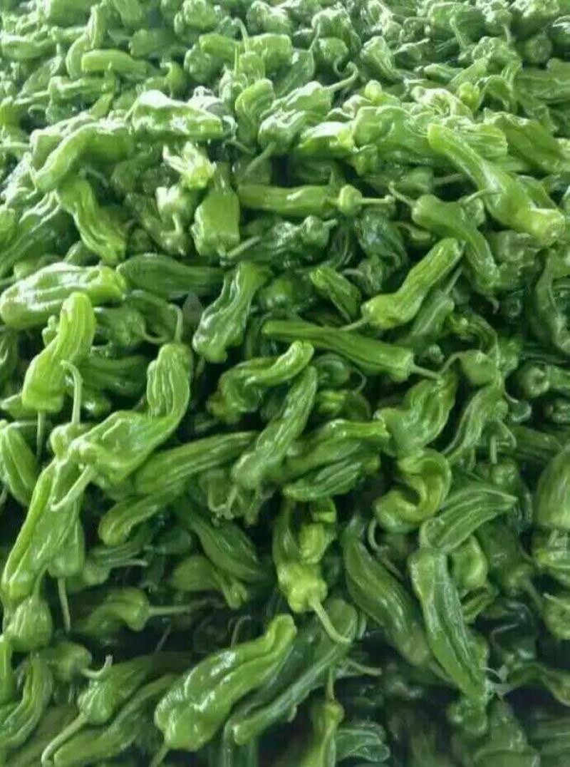 芜湖椒0.5~2厘米微辣青