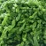 芜湖椒0.5~2厘米微辣青