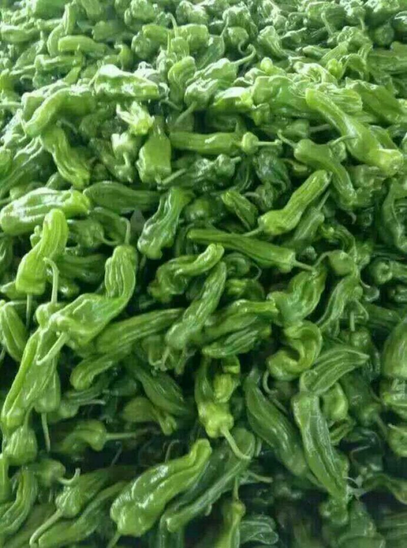 芜湖椒0.5~2厘米微辣青