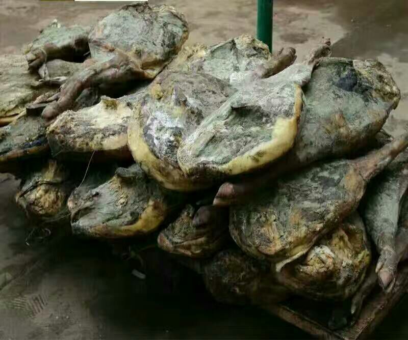宣威火腿