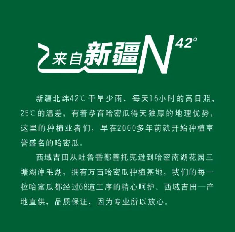 哈密瓜5斤以上椭圆形