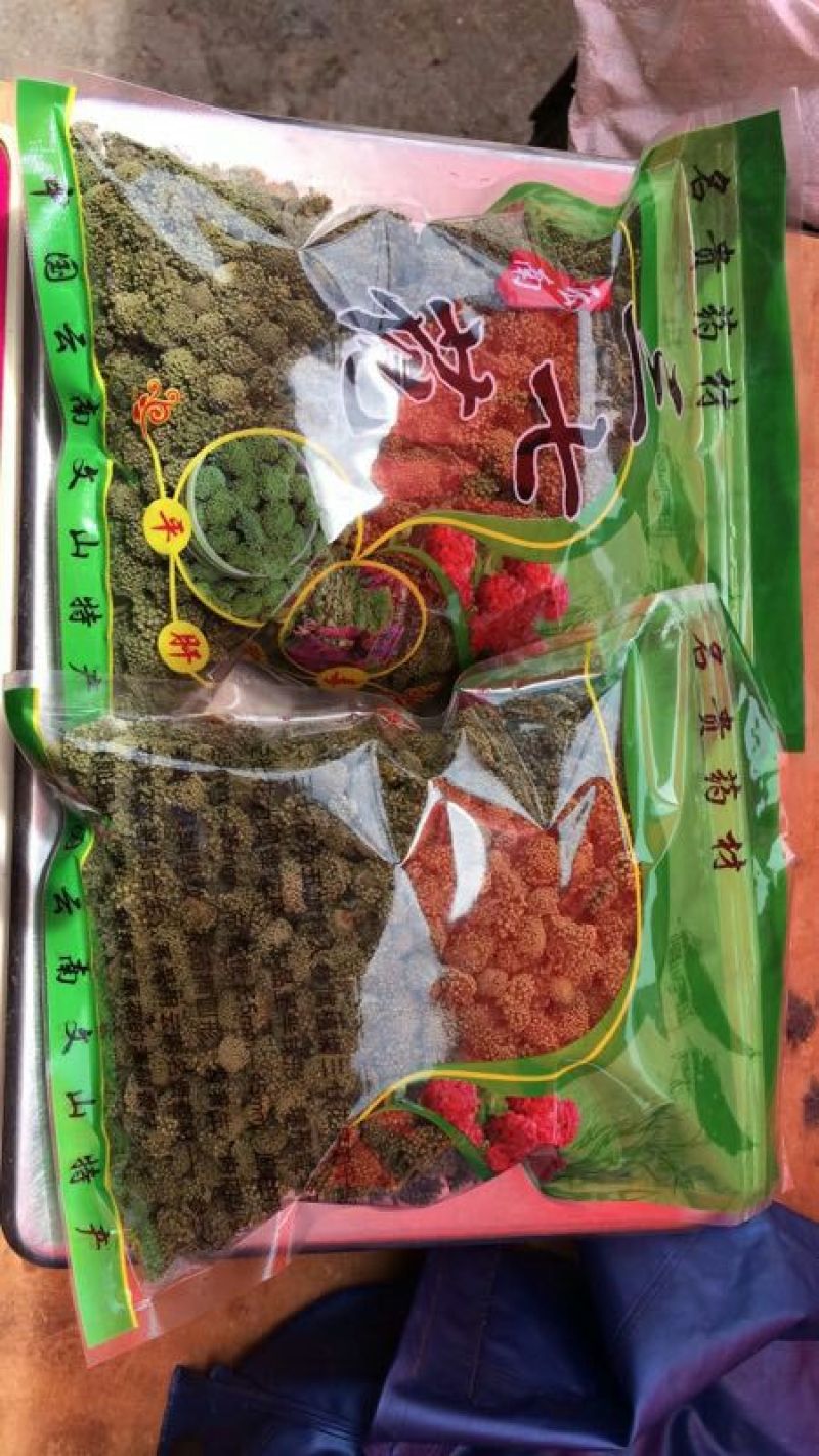 三七花无柄