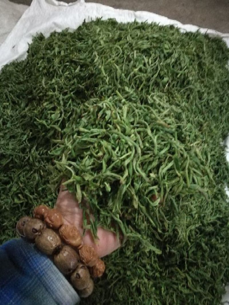 普洱茶三级