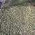普洱茶三级