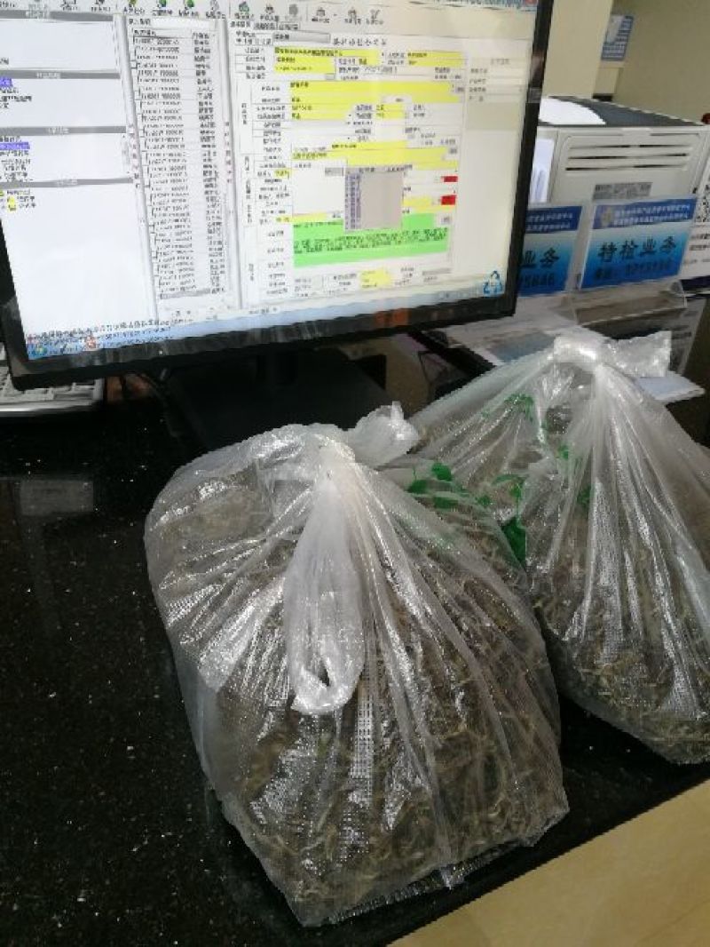 普洱茶三级