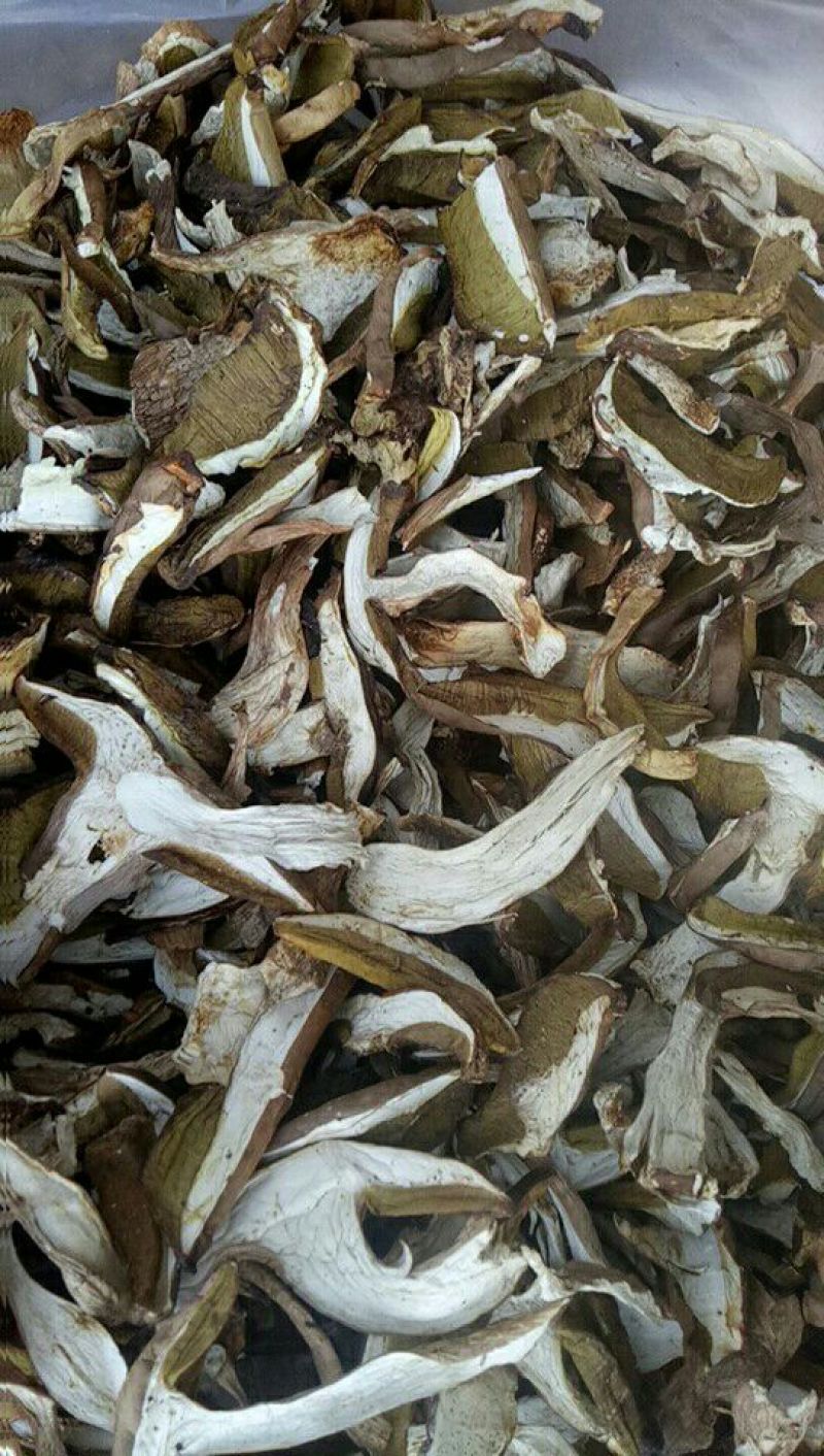 美味牛肝菌一级粗柄羊肚菌