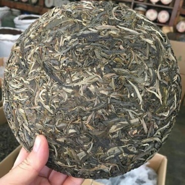 普洱茶二级