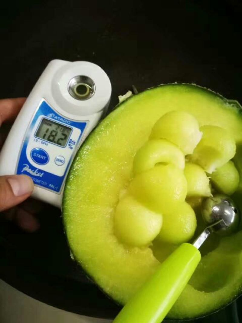 网纹瓜3斤以上长形