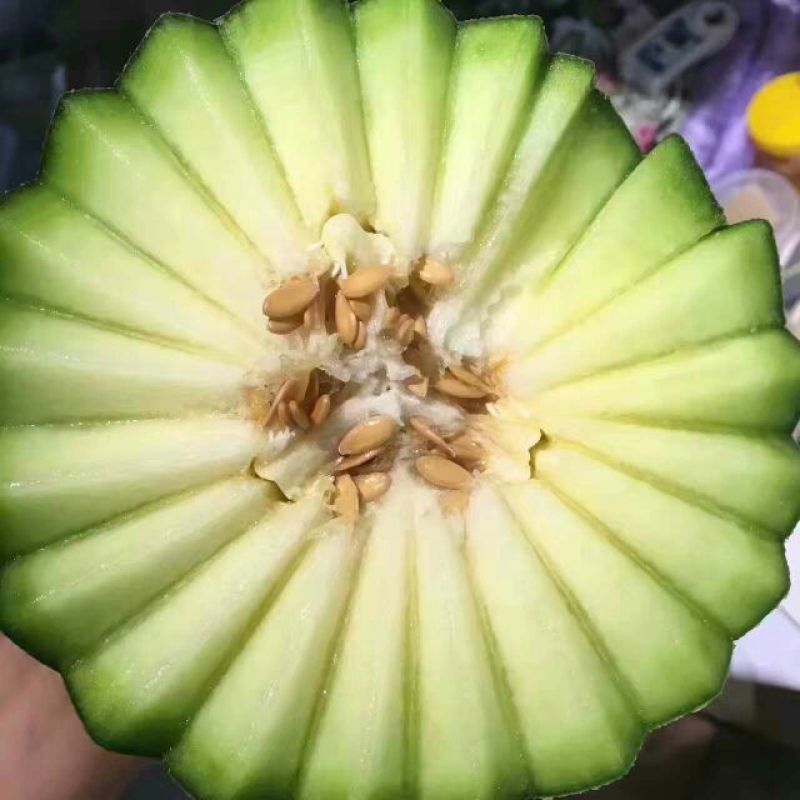 网纹瓜3斤以上长形