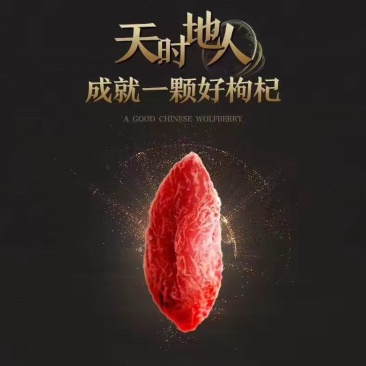 枸杞干货头茬个头大品质优全国发货