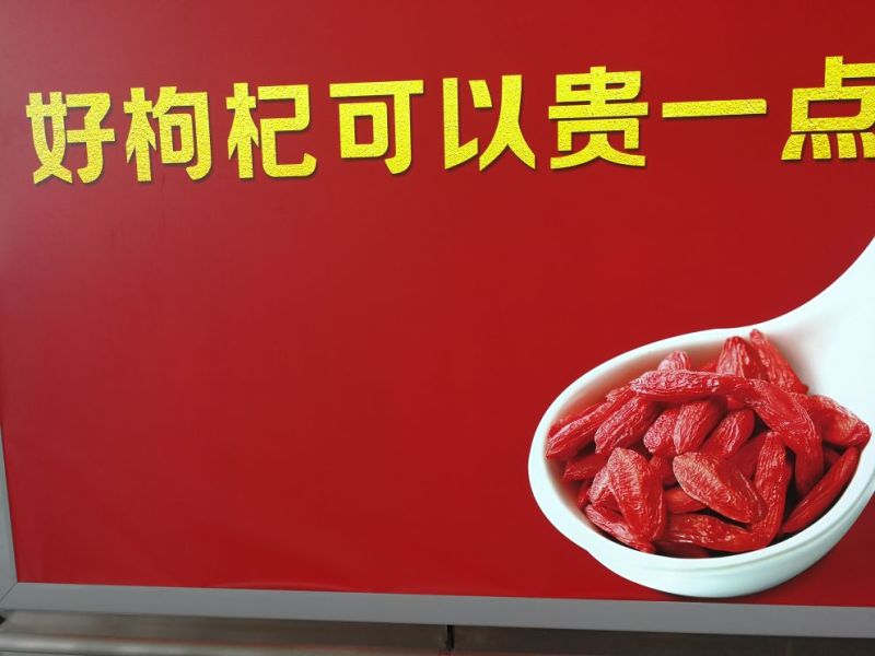枸杞干货头茬个头大品质优全国发货