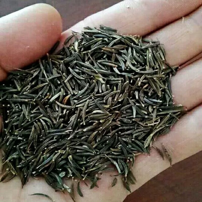 波斯菊种子格桑花热门花海新种子发芽率高可货到付款