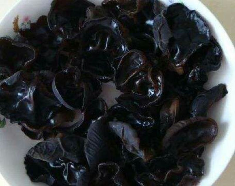 黑木耳菌棒